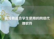有没有适合学生使用的网络代理软件