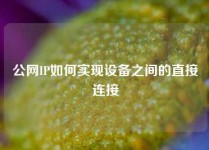 公网IP如何实现设备之间的直接连接