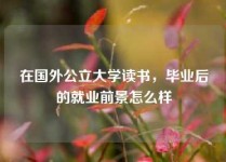 在国外公立大学读书，毕业后的就业前景怎么样