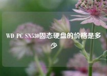 WD PC SN530固态硬盘的价格是多少