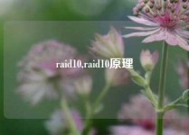 raid10,raid10原理