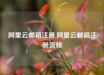 阿里云邮箱注册,阿里云邮箱注册流程