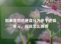 如果我想将硬盘分为多个逻辑单元，应该怎么操作