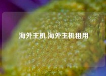海外主机,海外主机租用