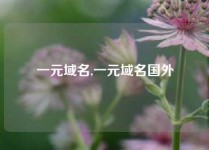 一元域名,一元域名国外