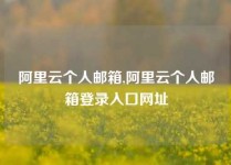 阿里云个人邮箱,阿里云个人邮箱登录入口网址