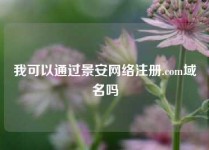 我可以通过景安网络注册.com域名吗