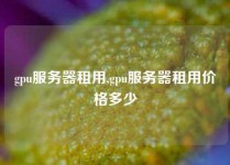 gpu服务器租用,gpu服务器租用价格多少