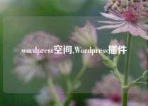wordpress空间,Wordpress插件