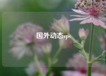 国外动态vps