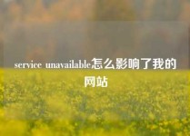 service unavailable怎么影响了我的网站