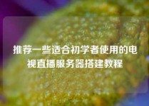 推荐一些适合初学者使用的电视直播服务器搭建教程