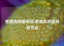 香港高防服务器,香港高防服务器节点