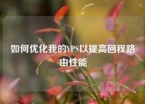 如何优化我的VPS以提高回程路由性能