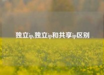 独立ip,独立ip和共享ip区别