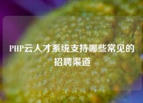 PHP云人才系统支持哪些常见的招聘渠道