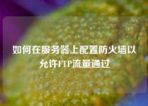 如何在服务器上配置防火墙以允许FTP流量通过