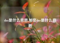 dns是什么意思,加密dns是什么意思