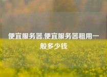 便宜服务器,便宜服务器租用一般多少钱