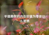 平值期权的内在价值为零是什么意思