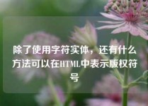 除了使用字符实体，还有什么方法可以在HTML中表示版权符号