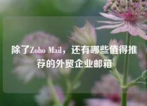 除了Zoho Mail，还有哪些值得推荐的外贸企业邮箱