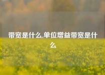 带宽是什么,单位增益带宽是什么