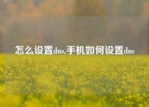 怎么设置dns,手机如何设置dns