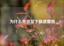 为什么我感觉下载速度慢