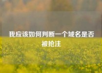我应该如何判断一个域名是否被抢注
