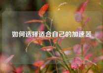 如何选择适合自己的加速器