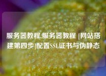 服务器教程,服务器教程 [网站搭建第四步]配置SSL证书与伪静态