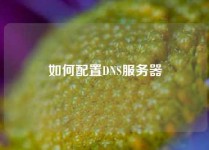 如何配置DNS服务器