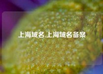 上海域名,上海域名备案