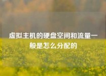 虚拟主机的硬盘空间和流量一般是怎么分配的
