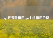 vps服务器租用,vps主机租用价格