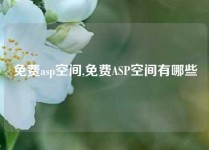 免费asp空间,免费ASP空间有哪些
