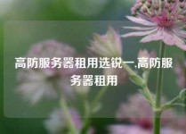 高防服务器租用选锐一,高防服务器租用