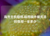 海外主机租用,租用国外服务器的费用一年多少