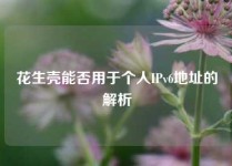 花生壳能否用于个人IPv6地址的解析
