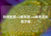 如何配置web服务器,web服务器配置步骤