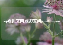 asp虚拟空间,虚拟空间parallel space