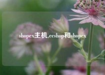 shopex主机,ecshop和shopex