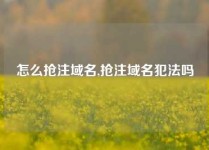 怎么抢注域名,抢注域名犯法吗