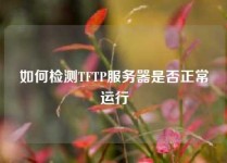 如何检测TFTP服务器是否正常运行