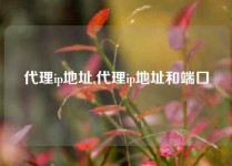 代理ip地址,代理ip地址和端口