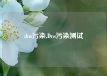 dns污染,Dns污染测试