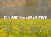 如何使用Telegram进行文件传输