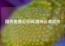 国外免费云空间,国外云盘软件