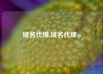 域名代理,域名代理ip